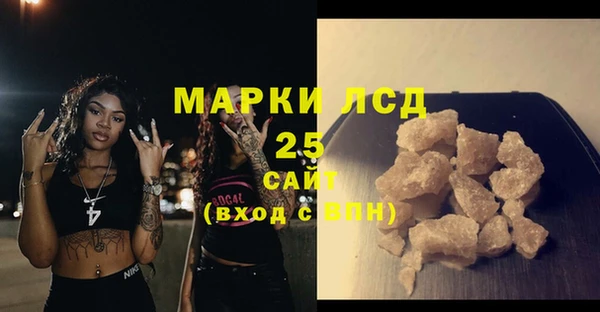 PSILOCYBIN Верея