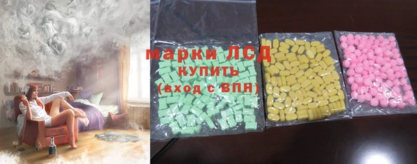 прущие грибы Верхний Тагил
