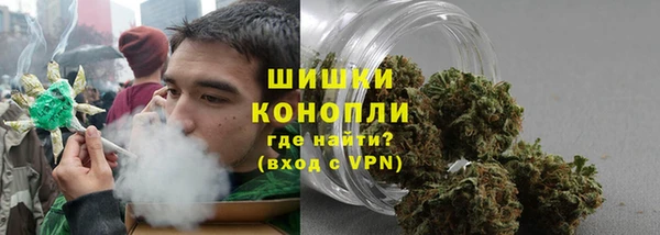 PSILOCYBIN Верея